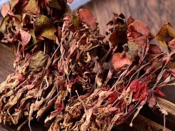 Super klasės džiovintas Anoectochilus Roxburghii atvyksta į specialias rinkas