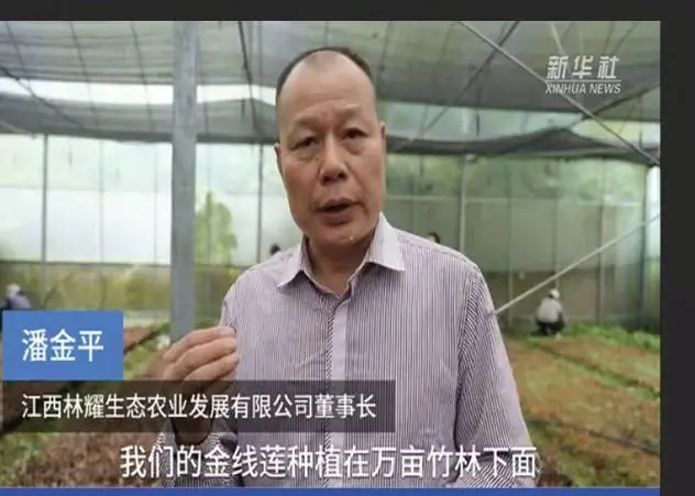 Pan Jinping, Jiangxi Linyao Ecological Agriculture Development Co., Ltd. pirmininkas, kalbintas Xinhua naujienų agentūros