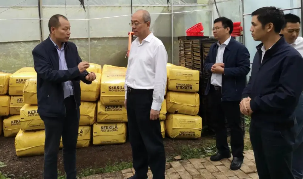 Xie Guanghua, partijos sekretorius ir Jiangxi provincijos tradicinės kinų medicinos administracijos direktorius, atlieka tyrimus Anoectochilus sodinimo bazėje